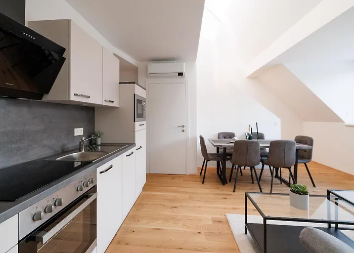 Apartamento Symphony 41 - Modern Loft With Terrace And Grill In Location Viena